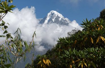 Trekking around Mount Annapunra in Nepal, Mardi Himal Trek